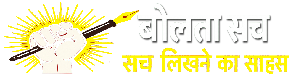 Bolta Sach Logo